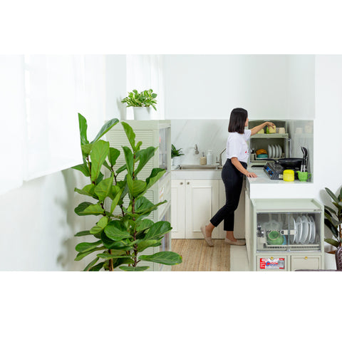 Kitchen Clean