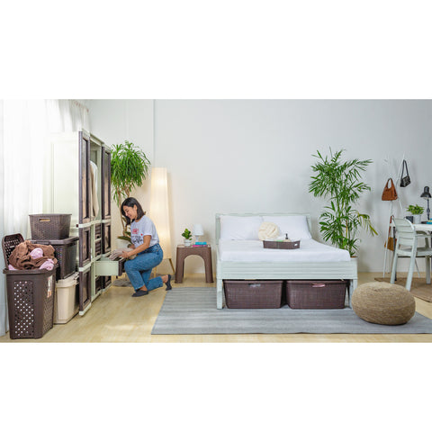 Mahogany Rattan Cabinet